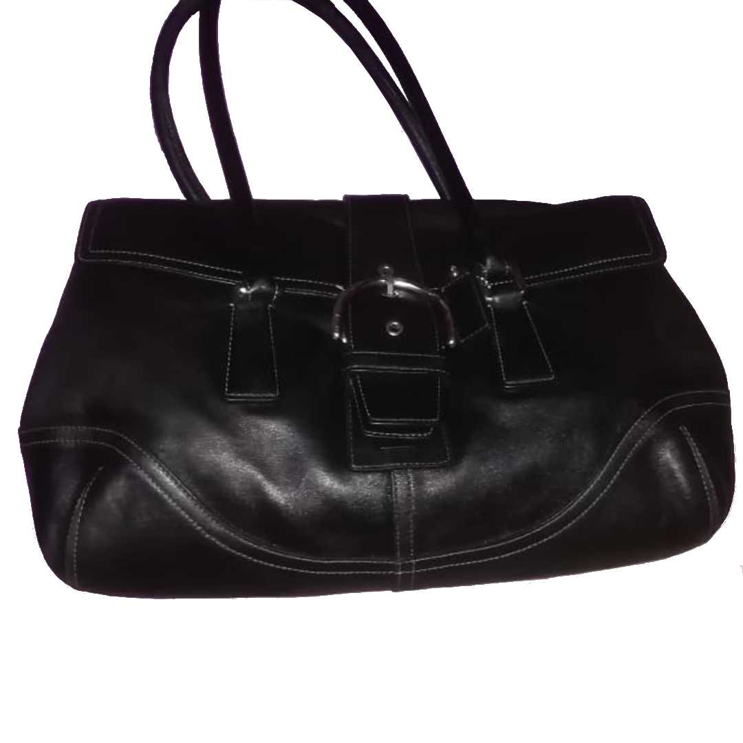 coach-ladies-leather-handbag-dapper n dame2