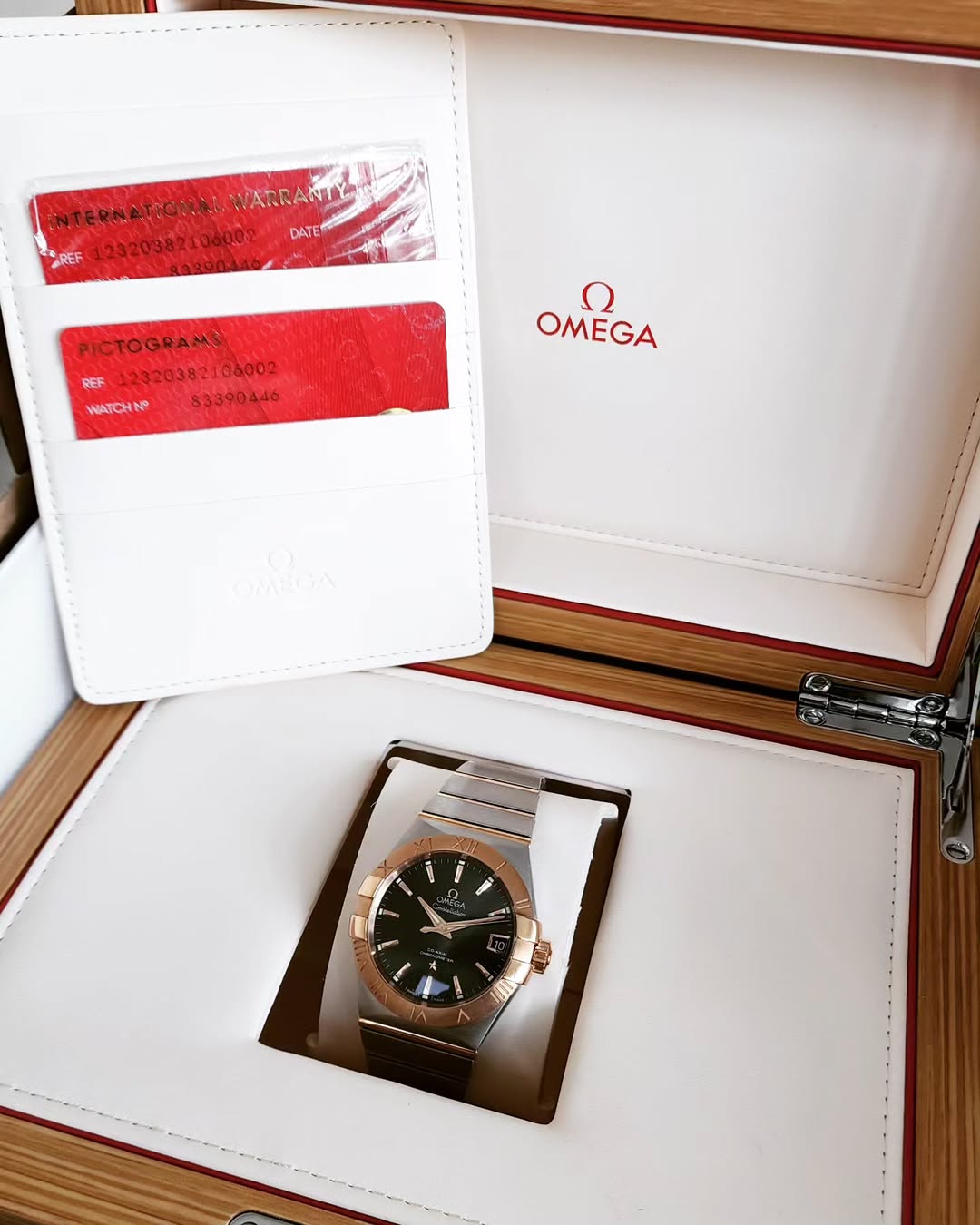 Omega_Constellation-Steel - Red-Gold-On-Steel-Automatic-Dapper-N-Dame-2